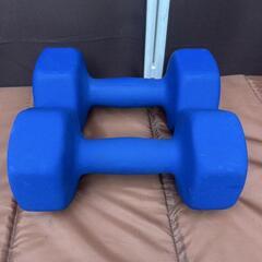 カラーダンベル　10kg    2個セットの画像