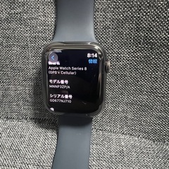 極上品　Apple Watch 8 45mm GPS +セルラーモデル　ステンレスの画像