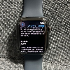 極上品　Apple Watch 8 45mm GPS +セルラーモデル　ステンレスの画像