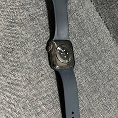 極上品　Apple Watch 8 45mm GPS +セルラーモデル　ステンレスの画像