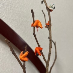 稚児飾りの画像