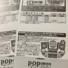 ポップサーカス 新潟公演 平日入場券1枚 サーカス チケットの画像