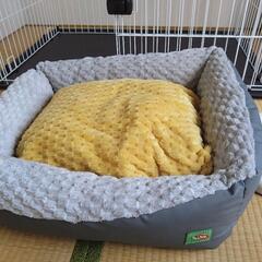 ペット用ゲージ　ペット用ベッド（新品）の画像