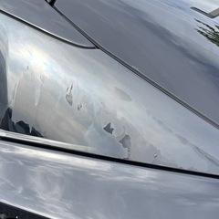 プリウス　50 日光市　車検長い　人気黒　の画像