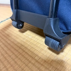 ソフトキャリーバッグの画像