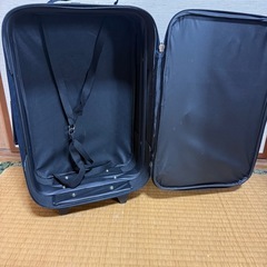 ソフトキャリーバッグの画像