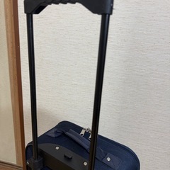ソフトキャリーバッグの画像