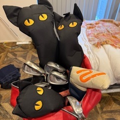 レディース ゴルフクラブセットの画像