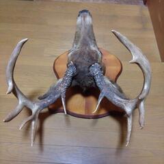 インテリア　壁掛け　ゴージャスの画像