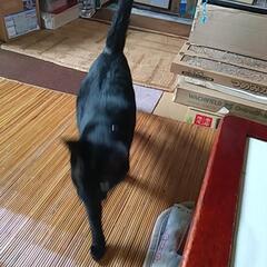 網戸・窓枠・柵等譲って下さい。