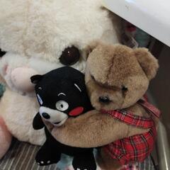 おしゃべりくまモンクマ抱っこチャンの画像