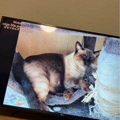 (参る客限定)LGテレビ4k 49インチ本体／リモコンのみの画像