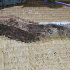 ②❣️流木 アクアリウム❣️の画像