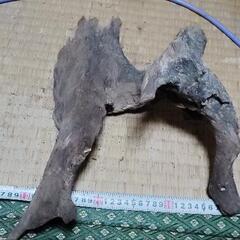 ⑦流木  大❣️ アクアリウム❣️の画像