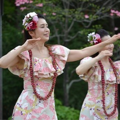 🌺フラダンス 生徒募集🌺豊明の画像