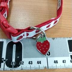 0717-1120 ペット用首輪の画像