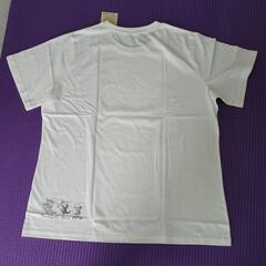 わちふぃーるど　バックプリントあり　半袖Tシャツ　Fの画像