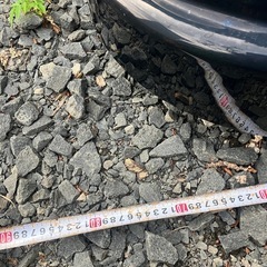 Terzo ルーフボックスの画像