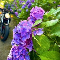 山陽自動車学校