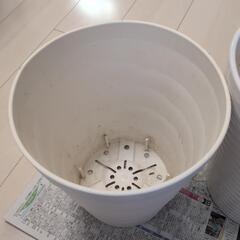 植木鉢2点で700円の画像