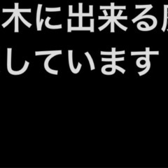 焚き木用の廃材を探しています
