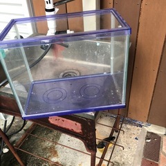 30センチ水槽