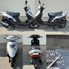 ⭐️ヴェクスター125❗️人気の原付2種スクーター⭐️プラグ・オイルなど新品交換で快調⭐️ピンクナンバー車⭐️の画像
