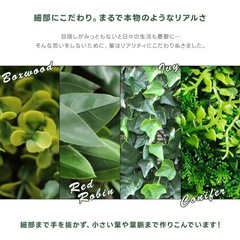 グリーンフェンスの画像