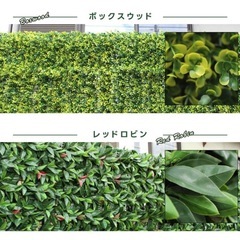 グリーンフェンスの画像