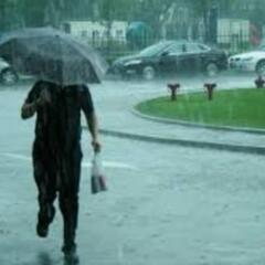 雨降りですねぇ～