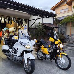 バイク仲間募集