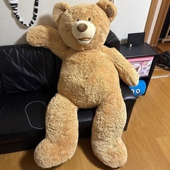 
コストコ クマ135cm 美品の画像