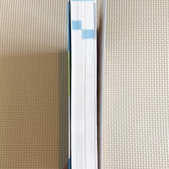 保育士・幼稚園教諭採用試験問題集2024年度版の画像
