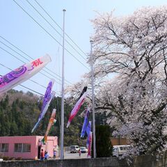 調理員　施設給食　「美味しい！」の声が聞けるキッチンで調理の仕事です！【未経験可】【笠間市】の画像