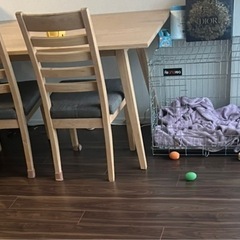 中型犬ケージの画像