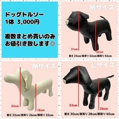 ドッグトルソー 犬服ディスプレイ 撮影