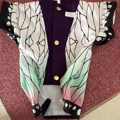 ペット服鬼滅の刃胡蝶しのぶの画像
