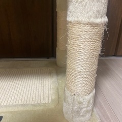 【決まりました】キャットタワーの画像