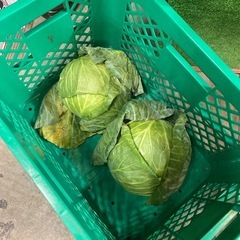 7月17日22時までに来れる方