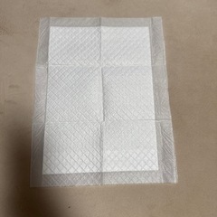 ペットシーツ　　薄型　レギュラーハーフの画像