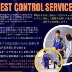 ゴキブリ駆除