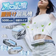 楽天で6000円の品 ベルト式ファンの画像