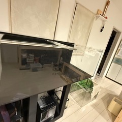 1200水槽の画像