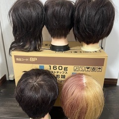 カットウィッグ　５体まとめ売りの画像