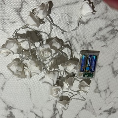薔薇 青 ライトの画像