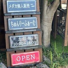 ★無人販売★ メダカ めだか ちゅんりーふぁーむ 7/19…