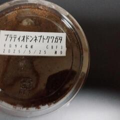 プラティオドンネブトクワガタ幼虫4頭セットの画像