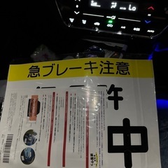 仮免許練習中　プレート　2枚入りの画像