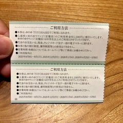 ゆのゆ豊橋　優待券の画像