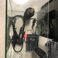 小型水槽セットの画像